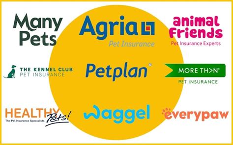 The best pet insurance providers in the UK for 2024.